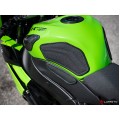 LUIMOTO TANK LEAF Tank Pads for the Kawasaki ZX-6R 636 (2009+) LUIMOTO TANK LEAF Tank Pads for the Kawasaki ZX-6R 636 (2009+)